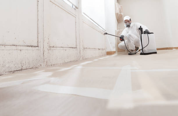 24/7 Emergency Mold Cleanup experts in Hoffman Estates, IL