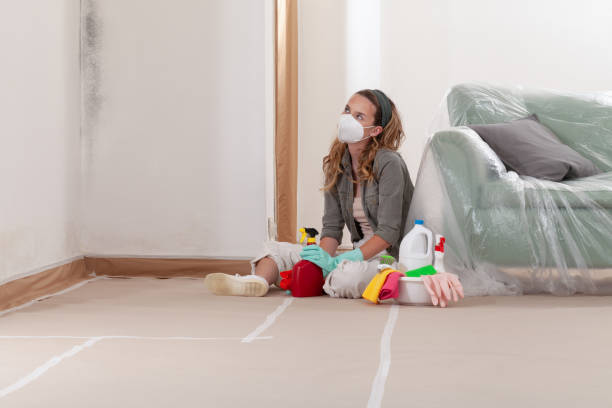 Reliable Mold Cleanup contractor in Hoffman Estates, IL by WQB Mold Removal